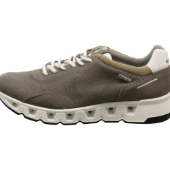 IGI&Co Sneaker low Gore-Tex Surround braun New