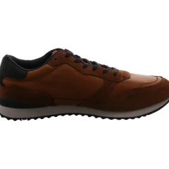 Lloyd Sneaker low Edmond braun New