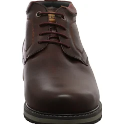 Pikolinos Schnürstiefelette Berna braun Best